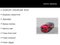 2024 Mazda Mazda CX-5 2.5 S Premium Package